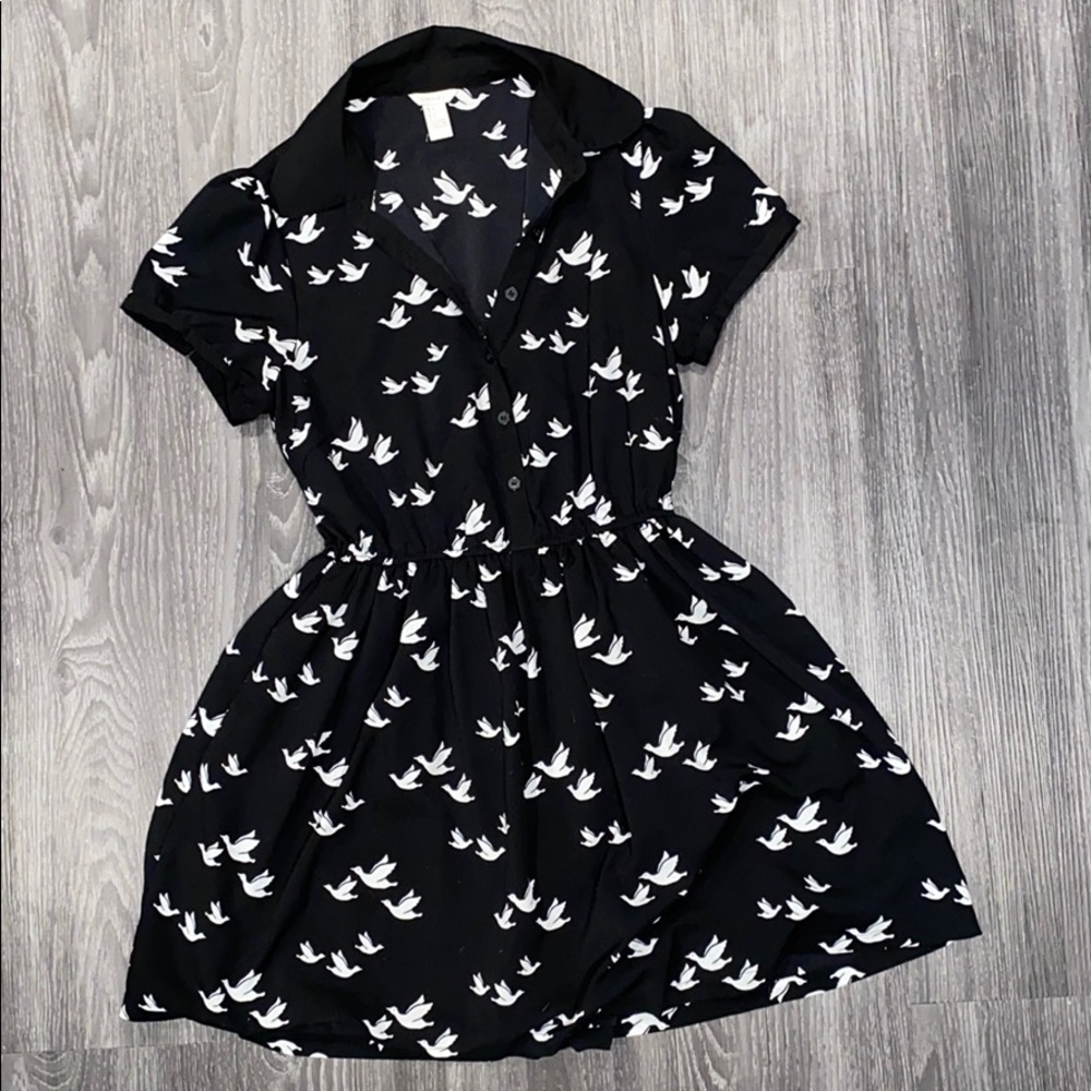 Collared dress